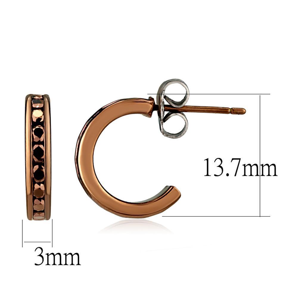 Brown Coco Earrings