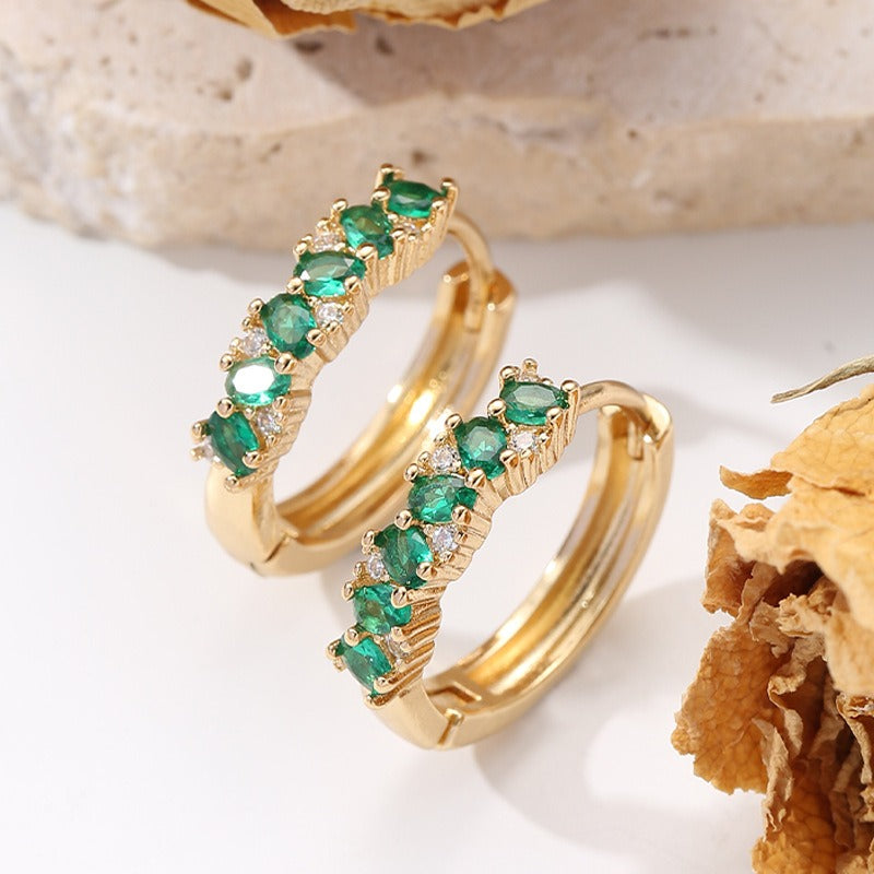 Colorful and Elegant Earnings