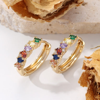 Colorful and Elegant Earnings
