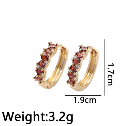 Colorful and Elegant Earnings