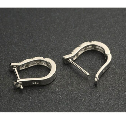 Platinum Hoop Earrings