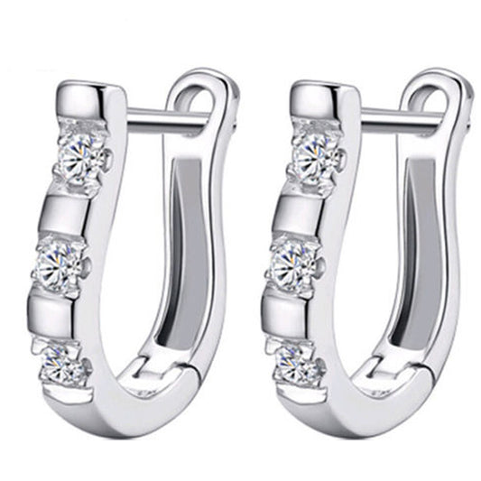 Platinum Hoop Earrings